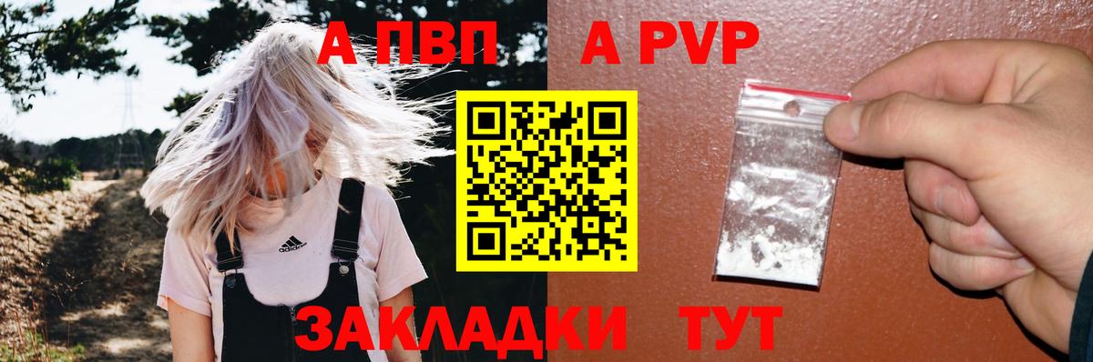 Alfa_PVP СК КРИС Асино